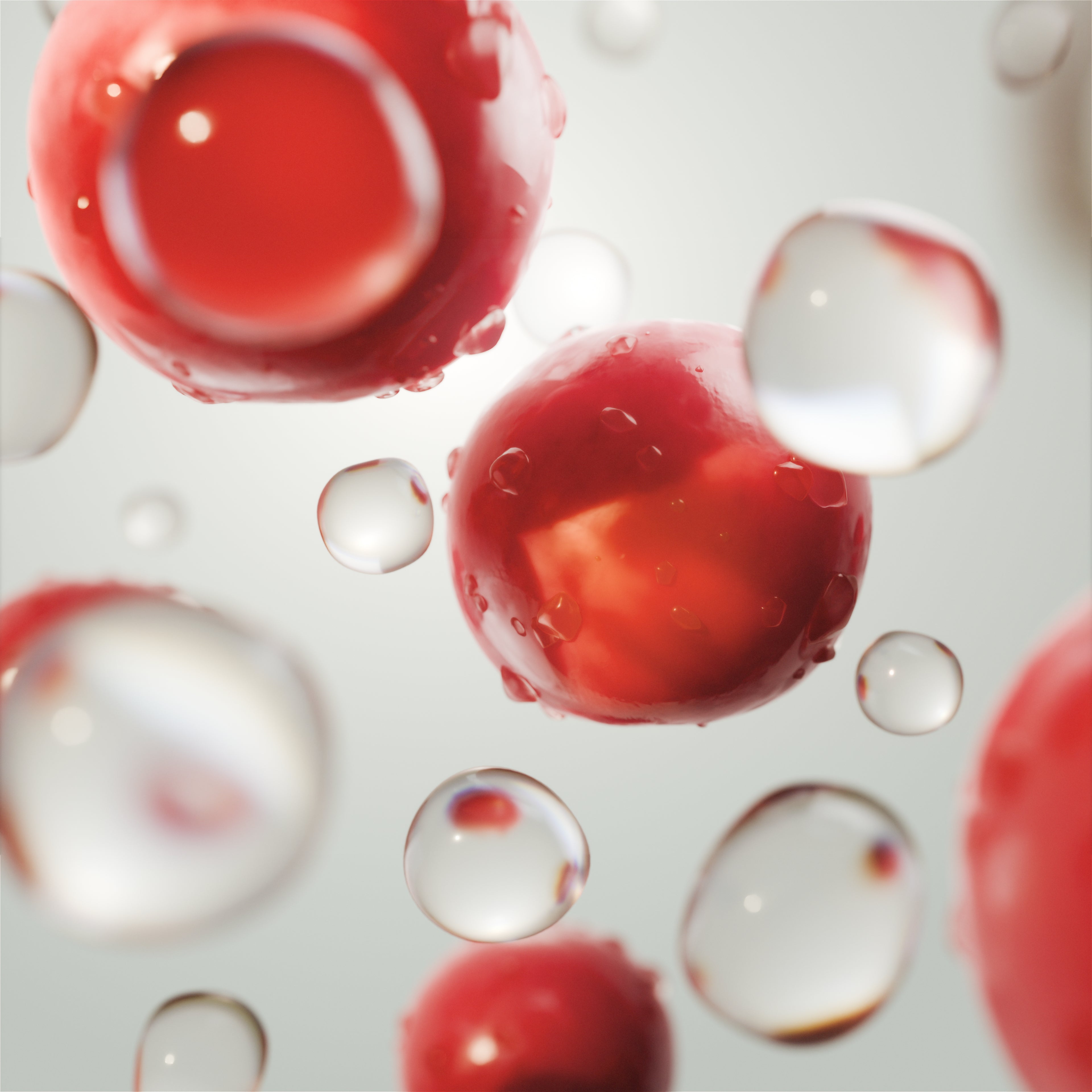 Schisanra Beeren mit Tropfen