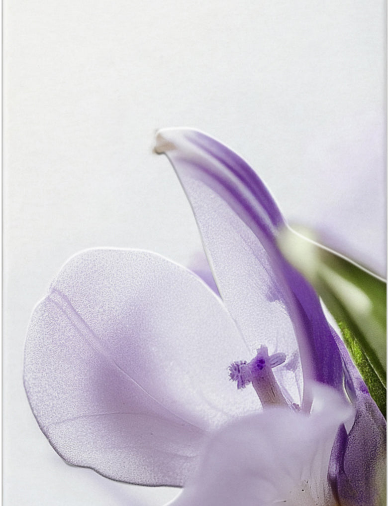 lavera Sérum Cellulite Bi-Phasé