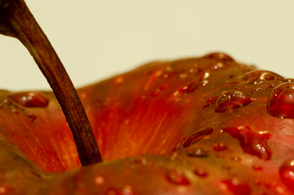 Bio-Apfel