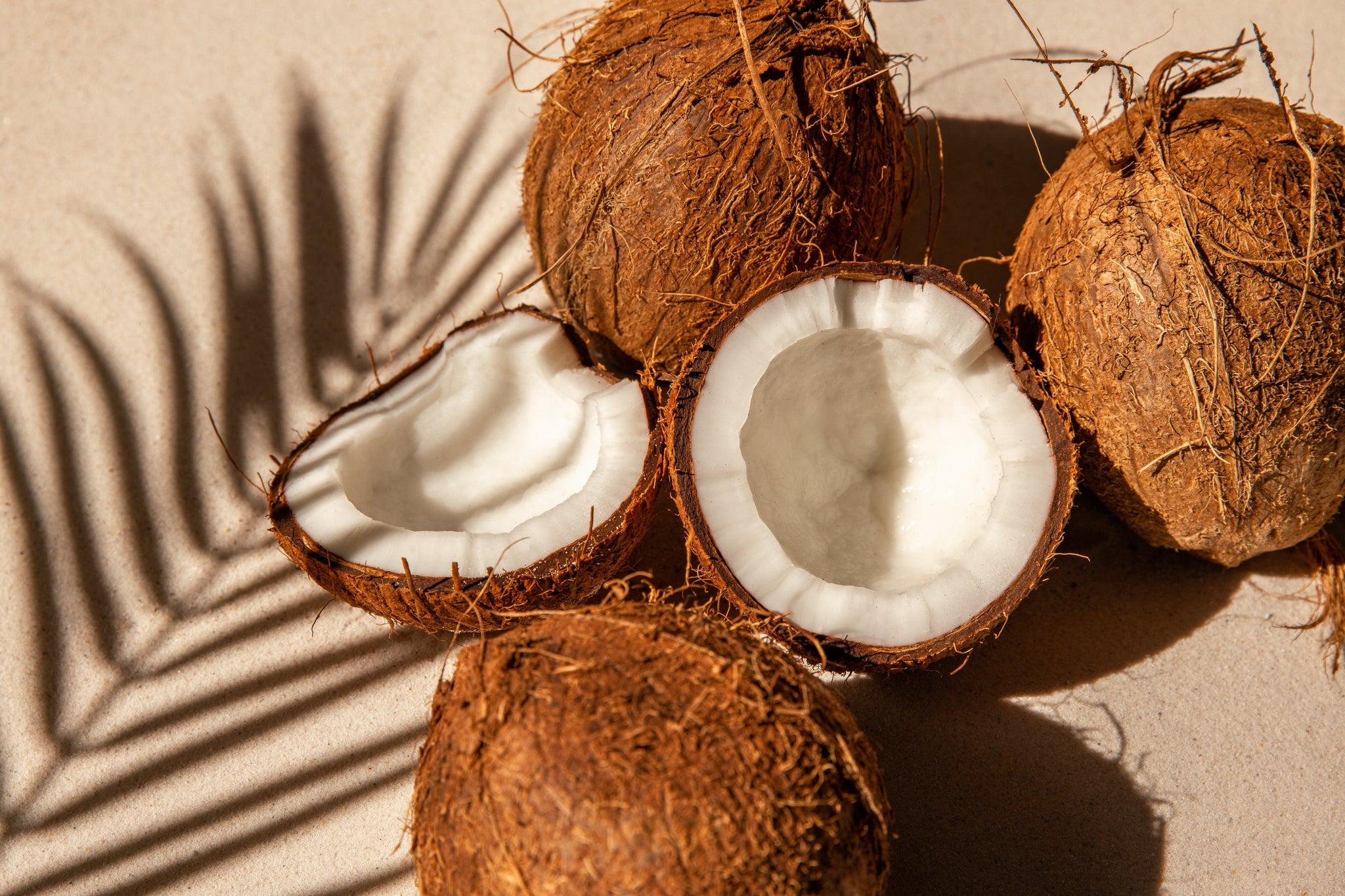 Ganze und aufgeschnittene Kokosnüsse auf Sand mit Schatten einer Palmenblattsilhouette im Sonnenlicht.