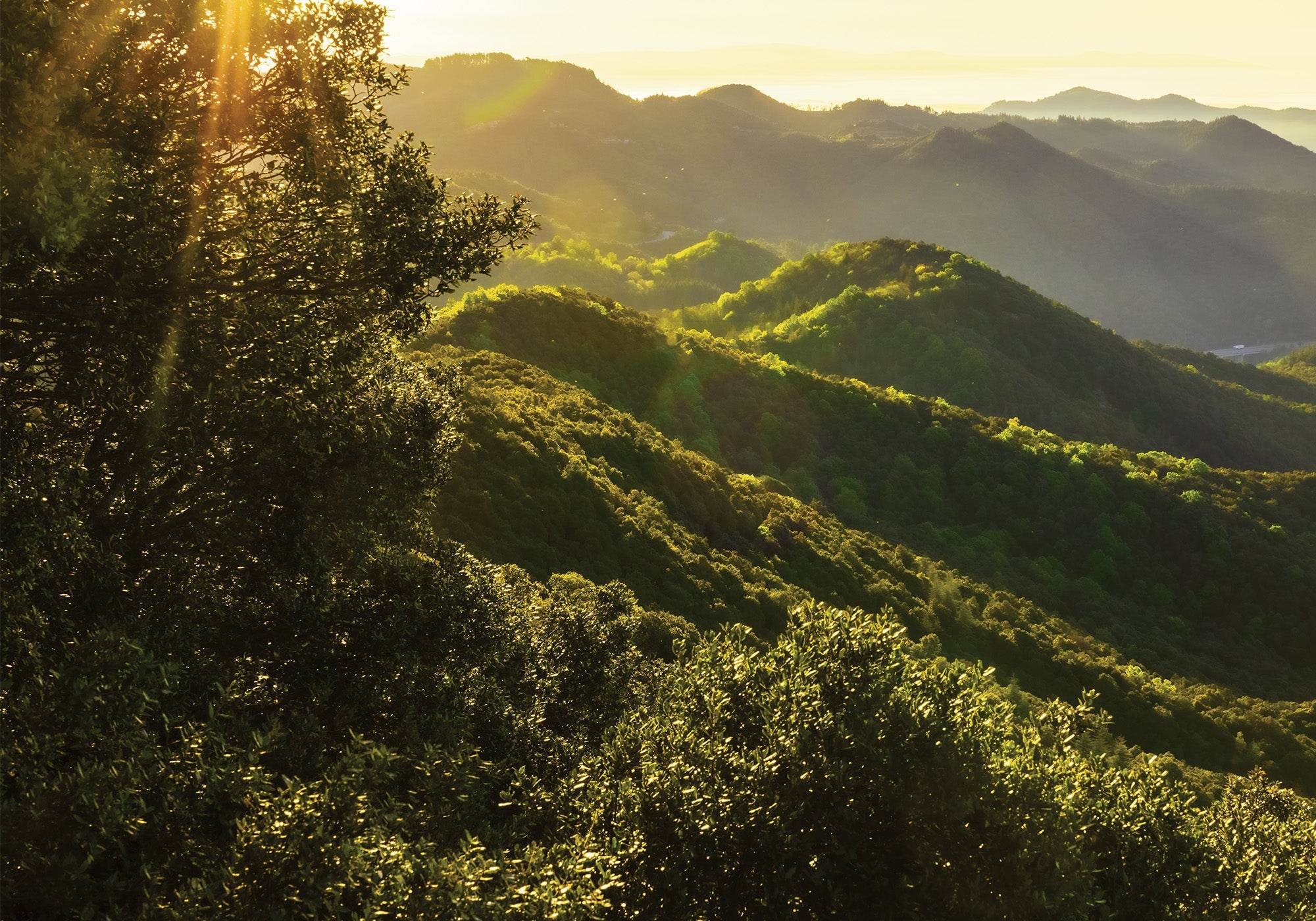 Rayons de soleil sur des paysages montagneux verts à la lumière du soir