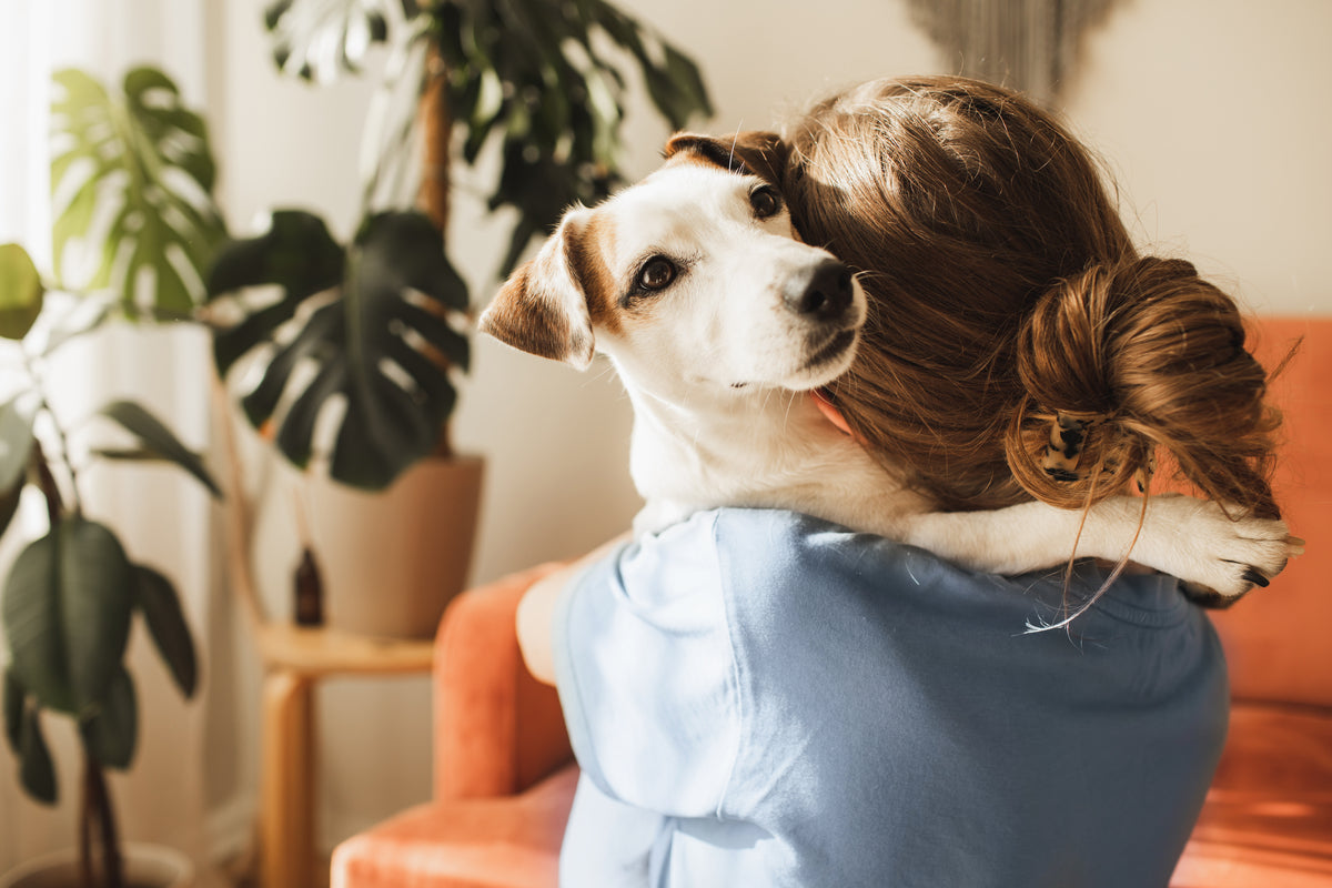 Femme avec chignon tient petit chien blanc et marron dans les bras