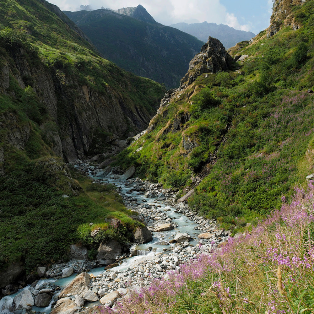 Paysage montagneux vert couvert d'herbe et de fleurs avec gorge traversée par une rivière