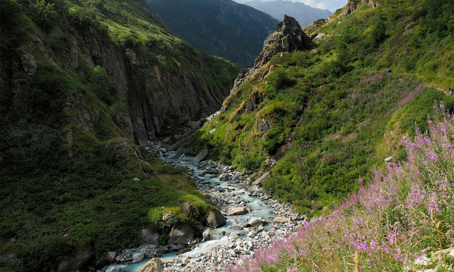 Paysage montagneux vert couvert d'herbe et de fleurs avec gorge traversée par une rivière