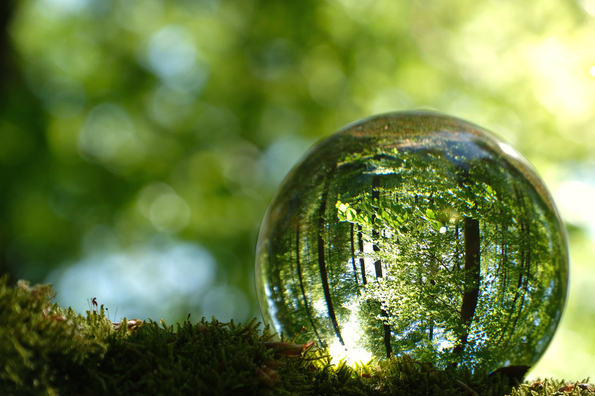 Sphère reflétant la forêt posée sur lit de mousse