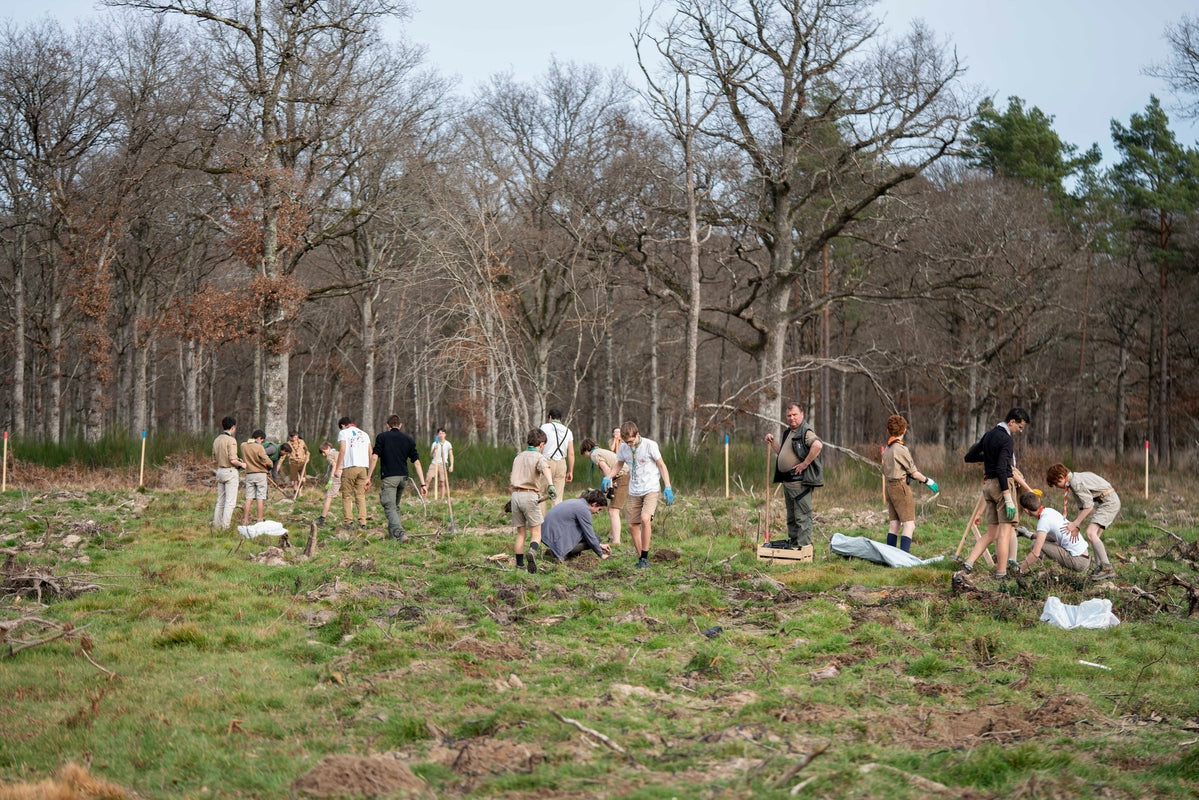 Un groupe de personnes plante des arbres à la main dans un pré