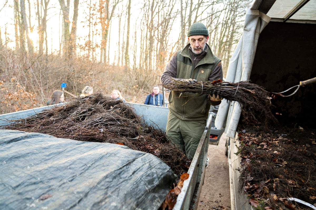 homme âgé en vêtements de travail tenant un fagot de branches, debout sur une remorque