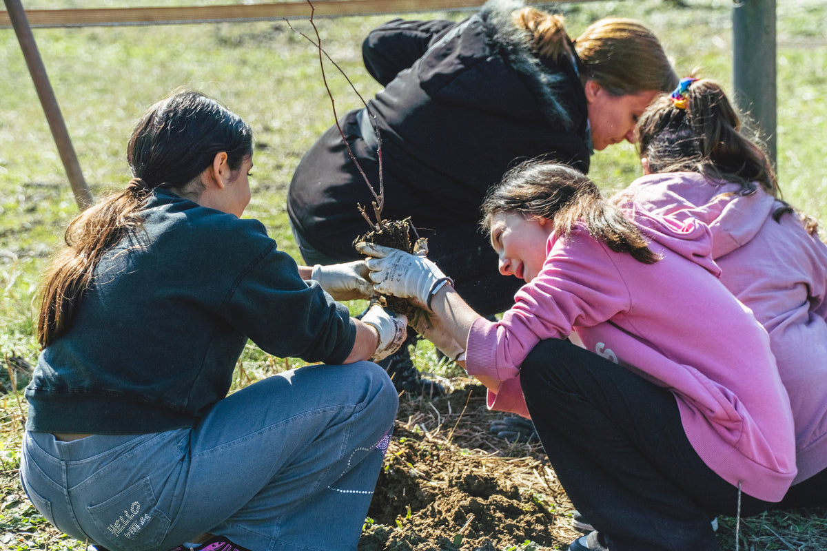 Deux filles tiennent un jeune plant dans les mains - avec des gants à l'extérieur dans la verdure