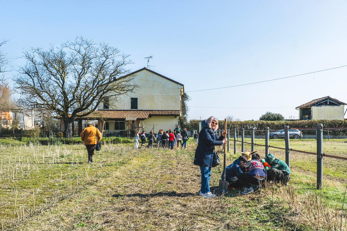 Plusieurs personnes plantent des arbres devant une maison sous un ciel bleu