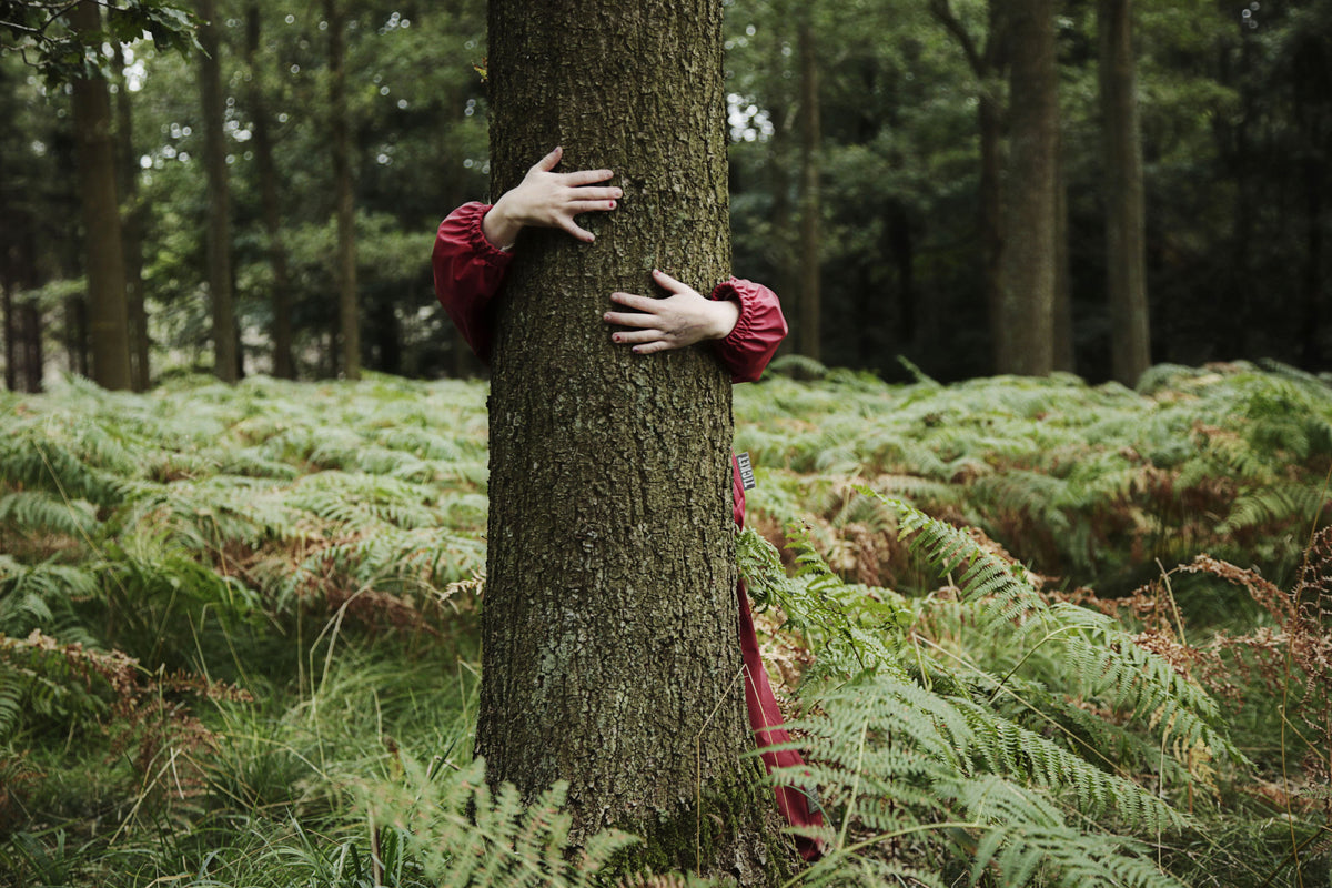 Enfant enlace un arbre dans la forêt