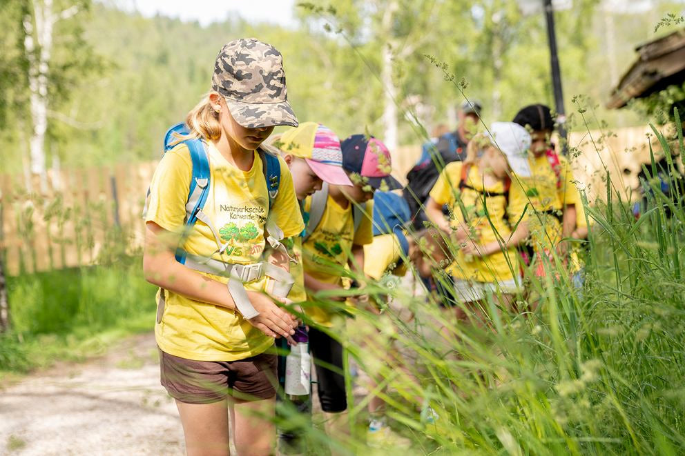 Groupe d'élèves en t-shirts jaunes en excursion nature, examinant les plantes le long du chemin