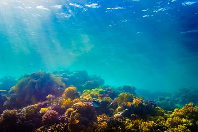 Récif corallien coloré sous l'eau avec rayons de soleil